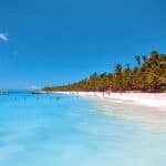 Full-Day Saona Island Tour by Speedboat