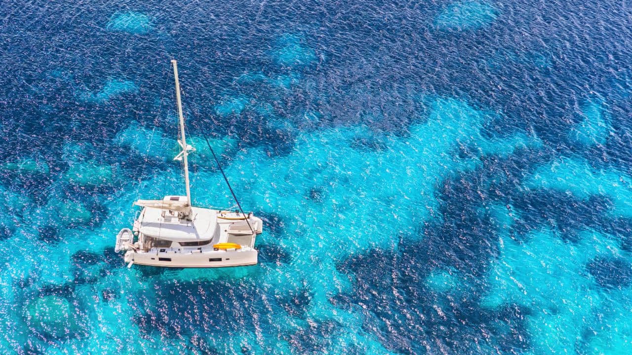 Catamaran Tour to Saona Island: Lunch & Open Bar Experience - Photo 4 (Gallery view)