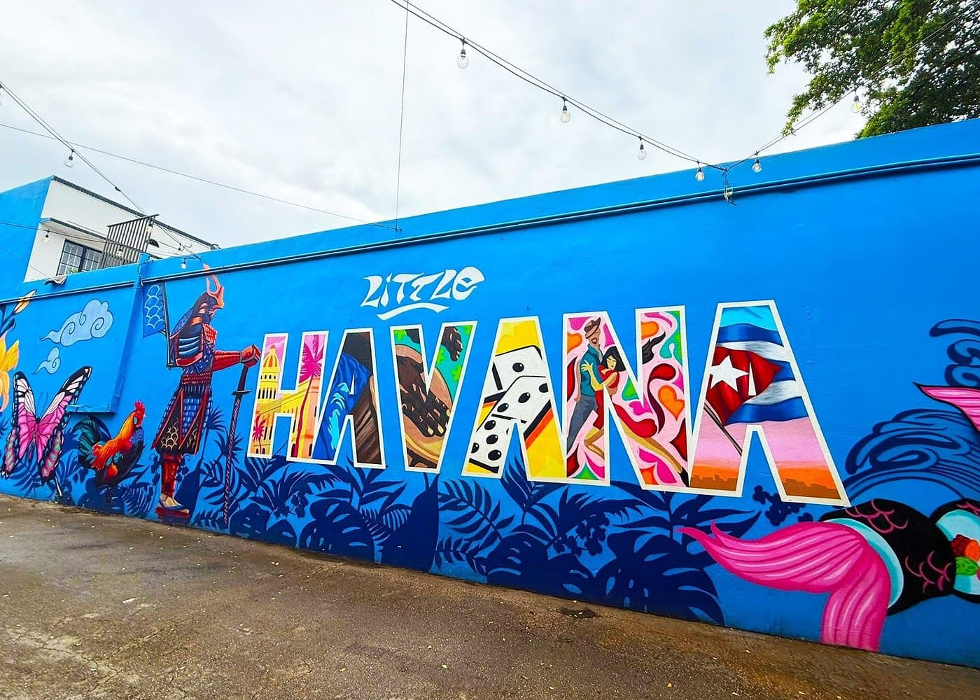 Little Havana Food & Culture Tour: A four-course culinary journey