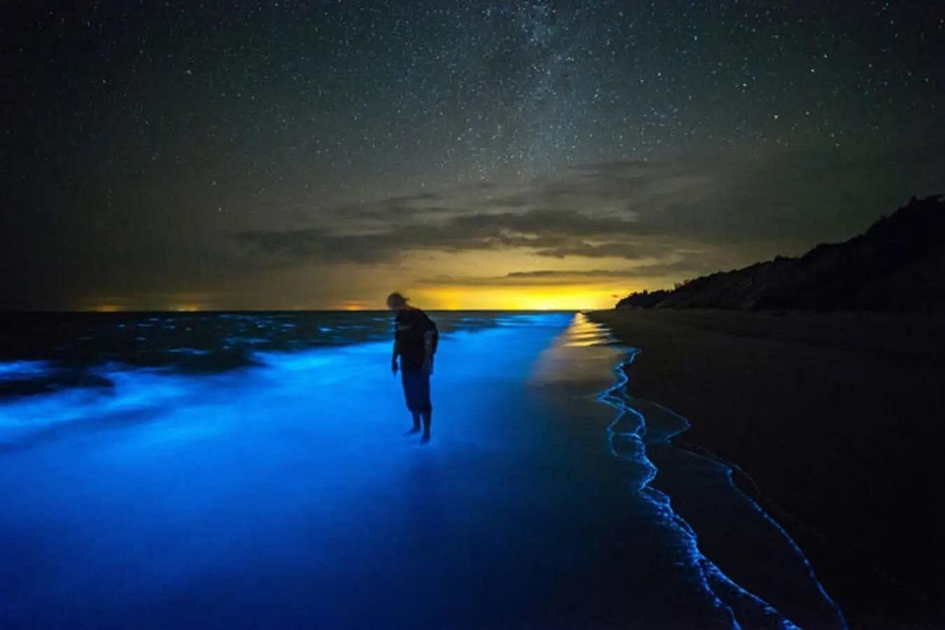 Bioluminescent Bay Adventure на Великому Каймані - Photo 3 (Gallery view)