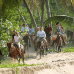 From Punta Cana: Samana Cayo Levantado Whales - Photo 3 (Gallery view)