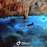 Bayahibe: Snorkeling Tour – tenger, Cotubanama park és Cenotes - Photo 1 (Main angle)
