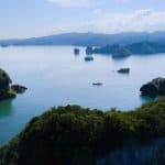 Los Haitises National Park: Boat and Walking Tour with Lunch
