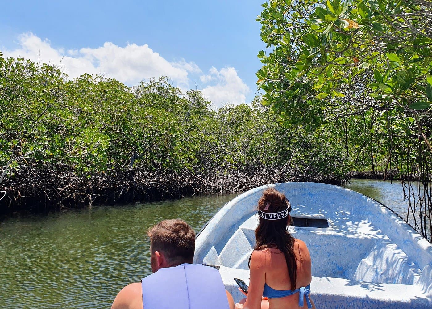 Tour Prive nan Paradise Island ak Snorkel & Sanctuary Manatee - Photo 4 (Gallery view)