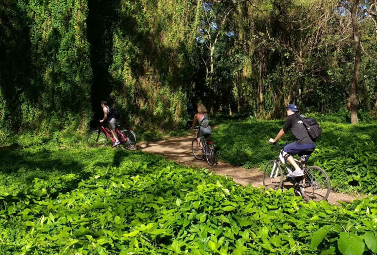 Havana Enchanted Forest Bike Tour - Photo 3 (Gallery view)
