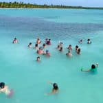 From Santo Domingo: Isla Saona Full-Day Tour with Lunch - Photo 2 (Gallery view)