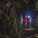 Los Haitises Night Hike In The Rainforest