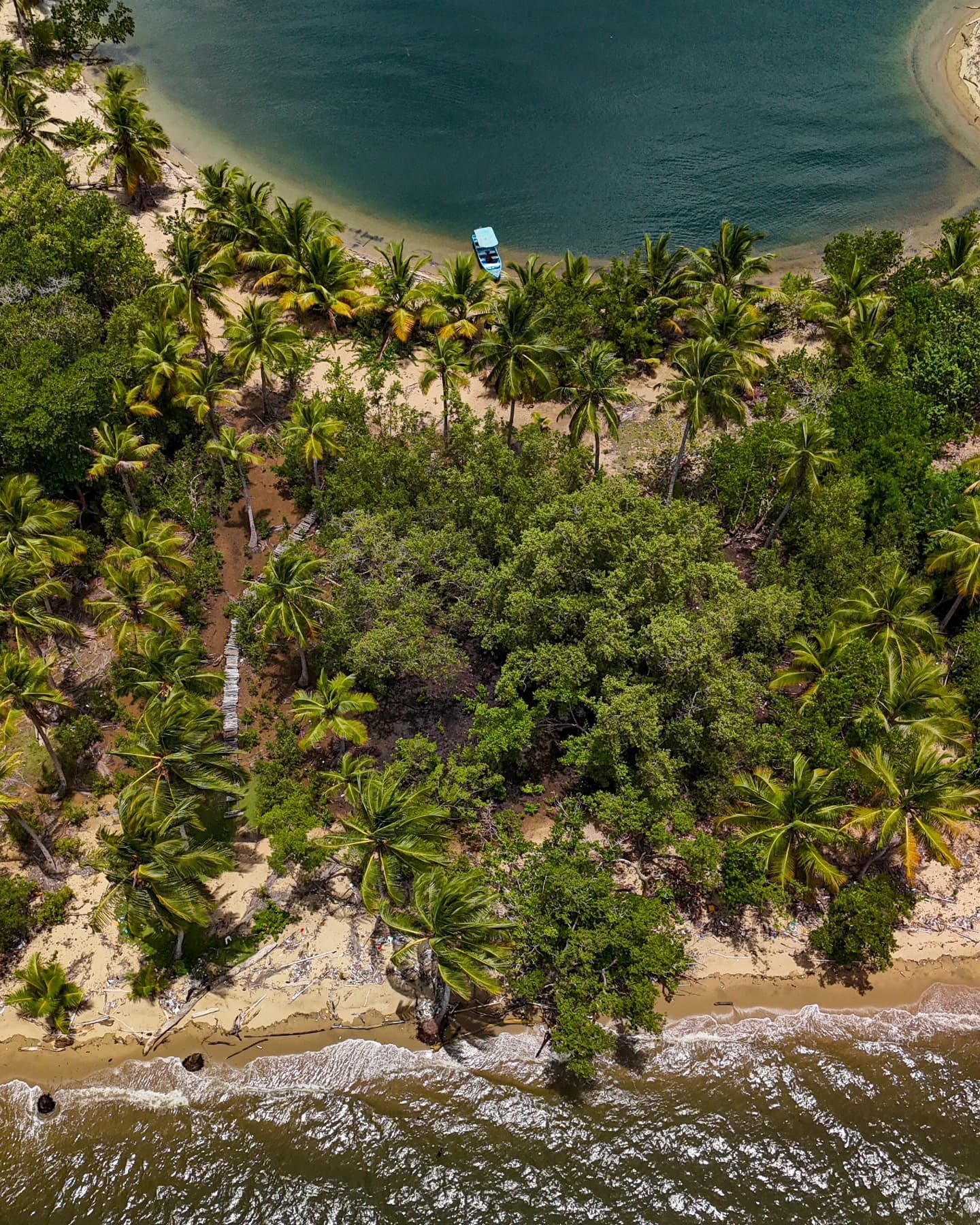 Los Haitises National Park & Yanigua Waterfall Tour Departure from Miches – Secrets Playa Esmeralda - Photo 4 (Gallery view)