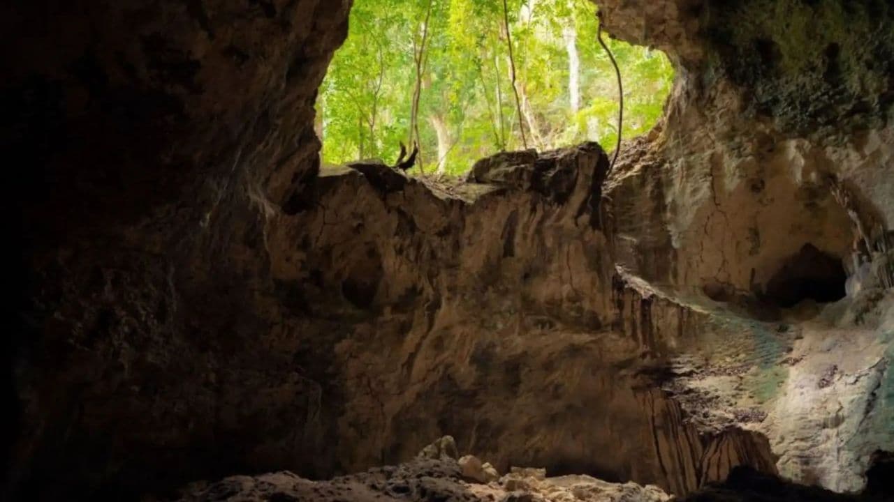Discover Los Haitises National Park with Delicious Lunch
