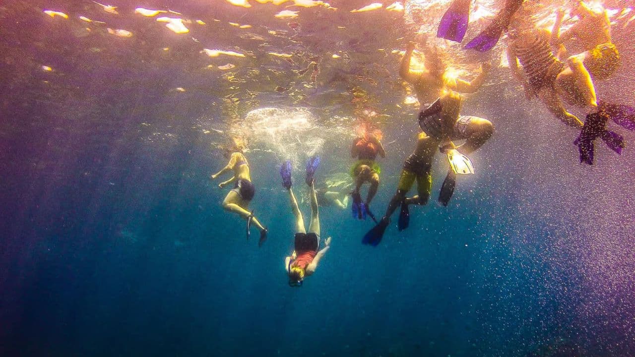 Catalina island snorkel with Food and drinks (Full Day)