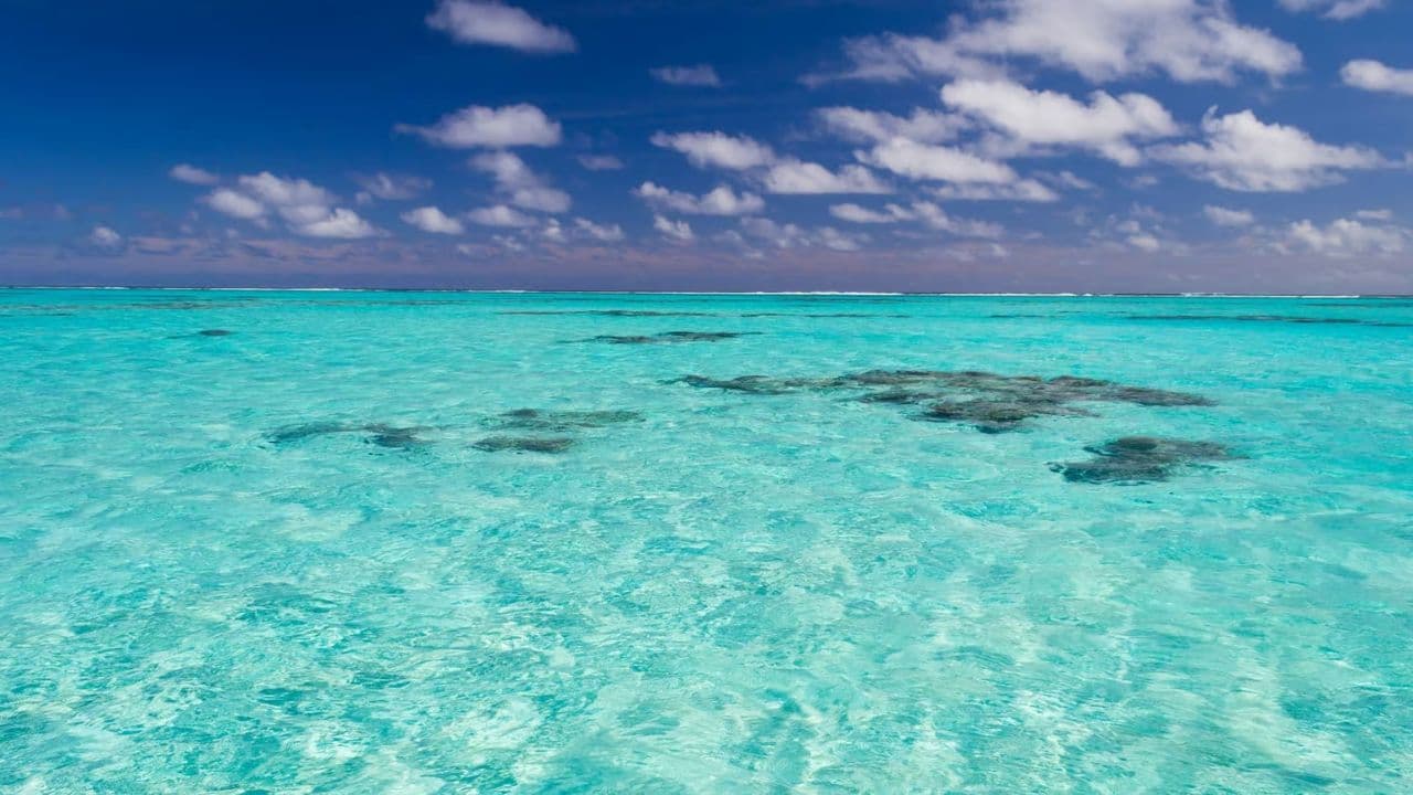 Santo Domingo Odyssey Tour from Punta Cana/Bavaro