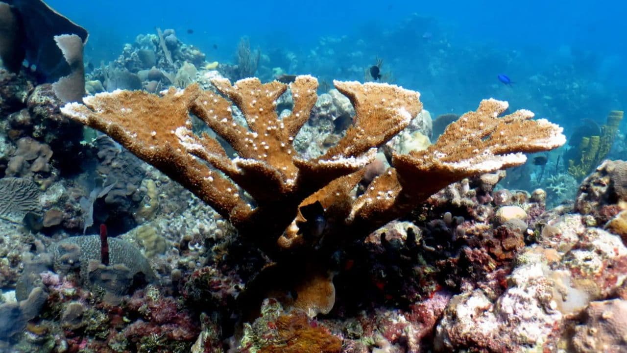Punta Cana'dan: Alto de Chavon, La Romana ve Higuey Turu - Photo 5 (Gallery view)