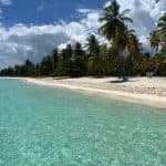 Saona Island: Small Group Virgin Beaches Cruise Day Trip