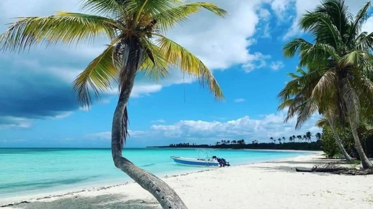 All-Inclusive-Tagesausflug zur Insel Saona ab Punta Cana - Photo 4 (Gallery view)