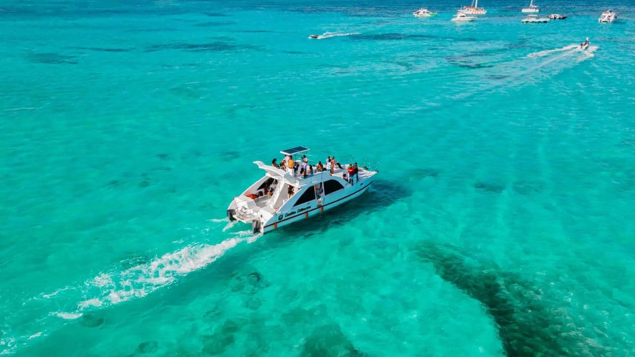 Punta Cana: Catamaran Tour with Open Bar and Reef Snorkeling - Dominican Republic