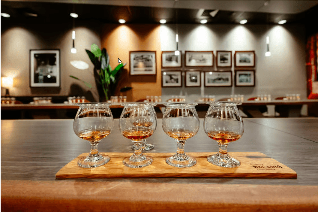 San Juan: Casa Bacardi Distillery Tour - Dominican Republic