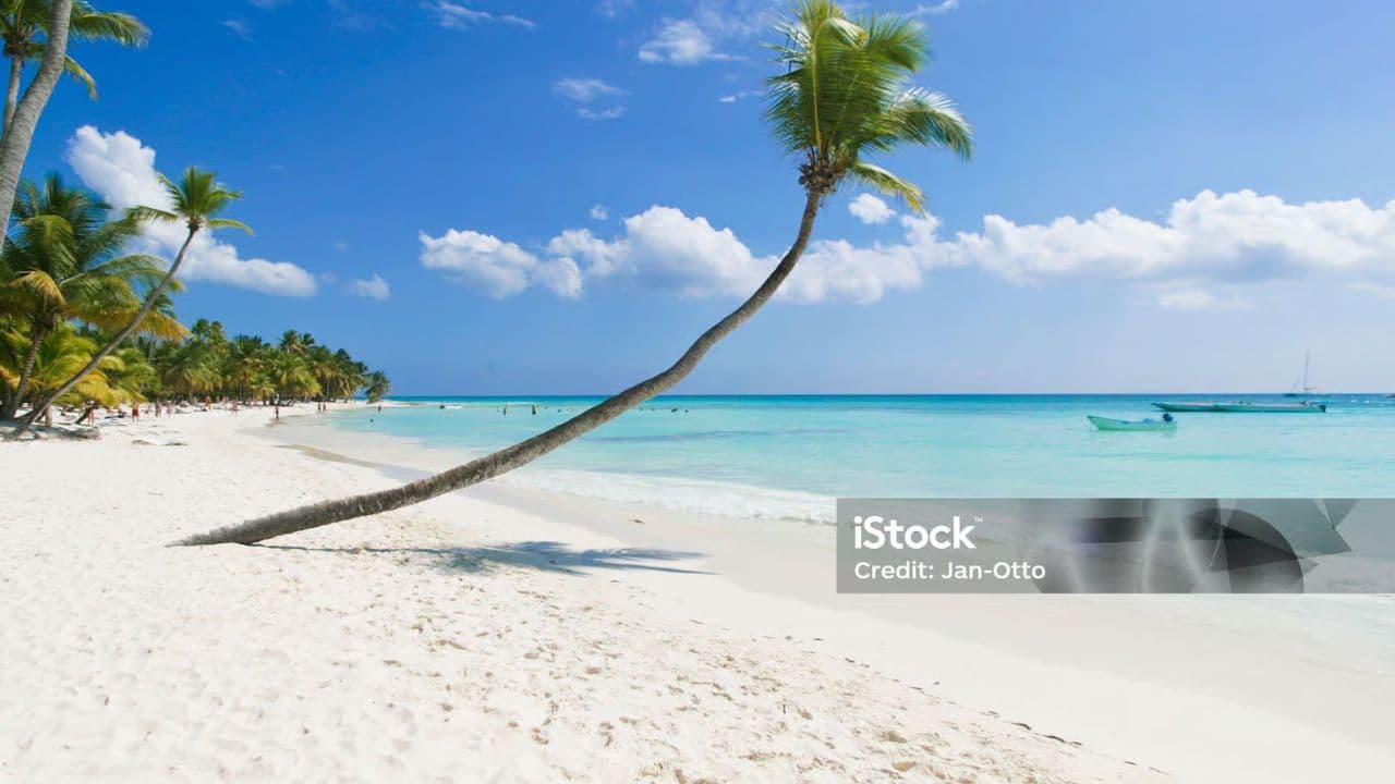 Punta Cana: Samaná Tour with Horse Ride, Cruise, and Lunch