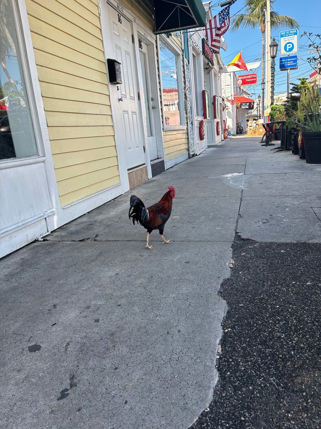 Full-Day trip to Key West from Sunny Isles