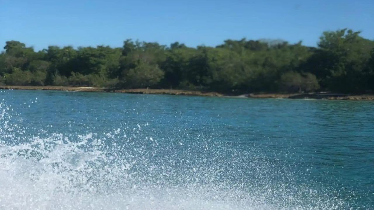 Punta Cana: Saona Island Day Trip with Open Bar and Lunch