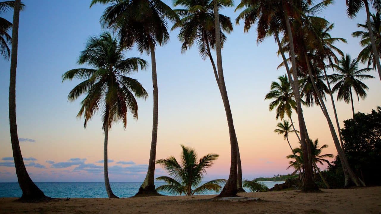 Juan Dolio: Samana, El Limon Waterfall and Cayo Levantado