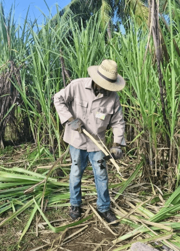 Tobacco, Rum and Sugar Tour