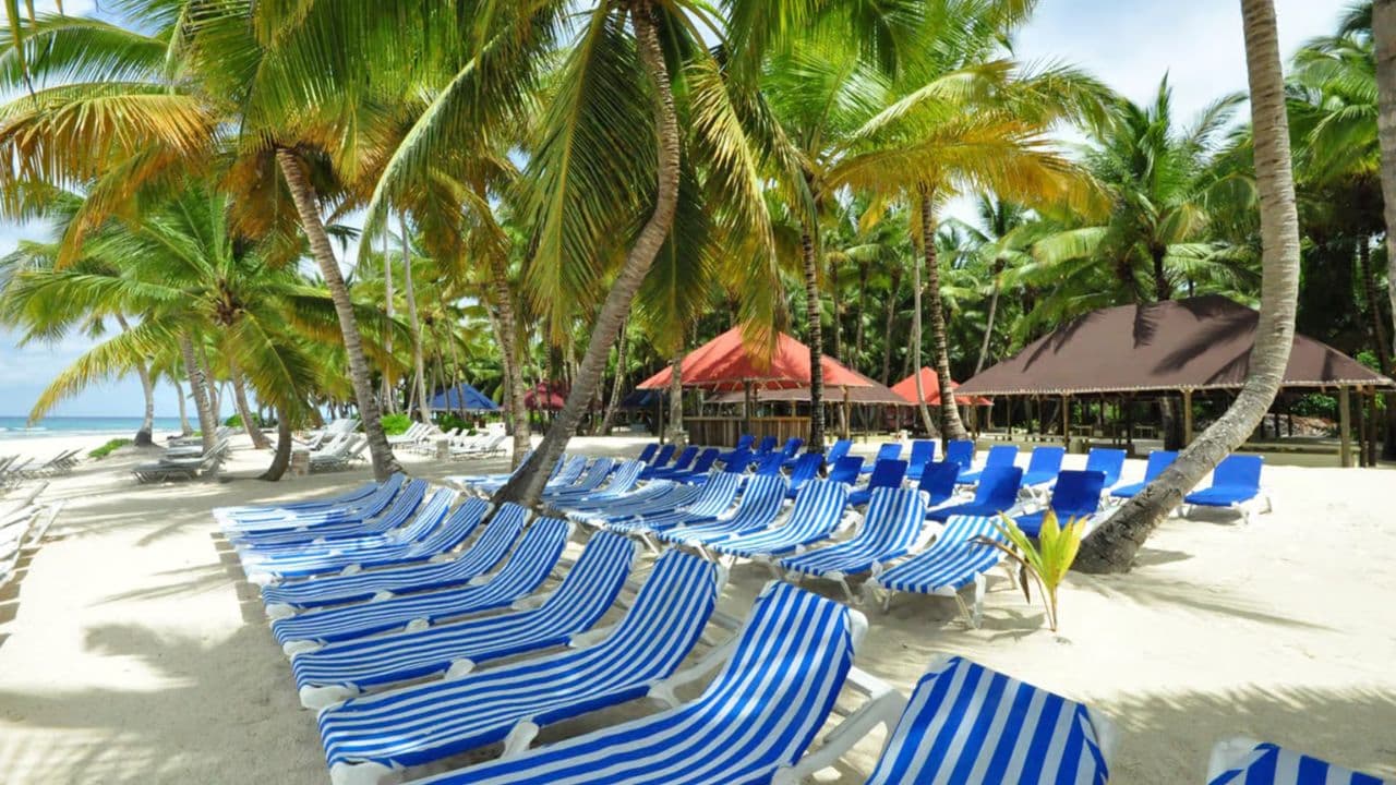 Punta Cana: Insula Saona o zi întreagă cu bufet și preluare - Photo 4 (Gallery view)