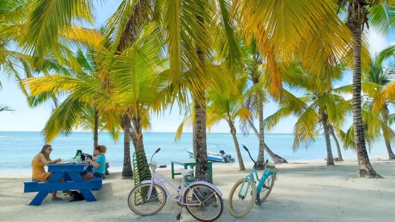 Explora la Experiencia: Tours de Punta Cana a Isla Saona