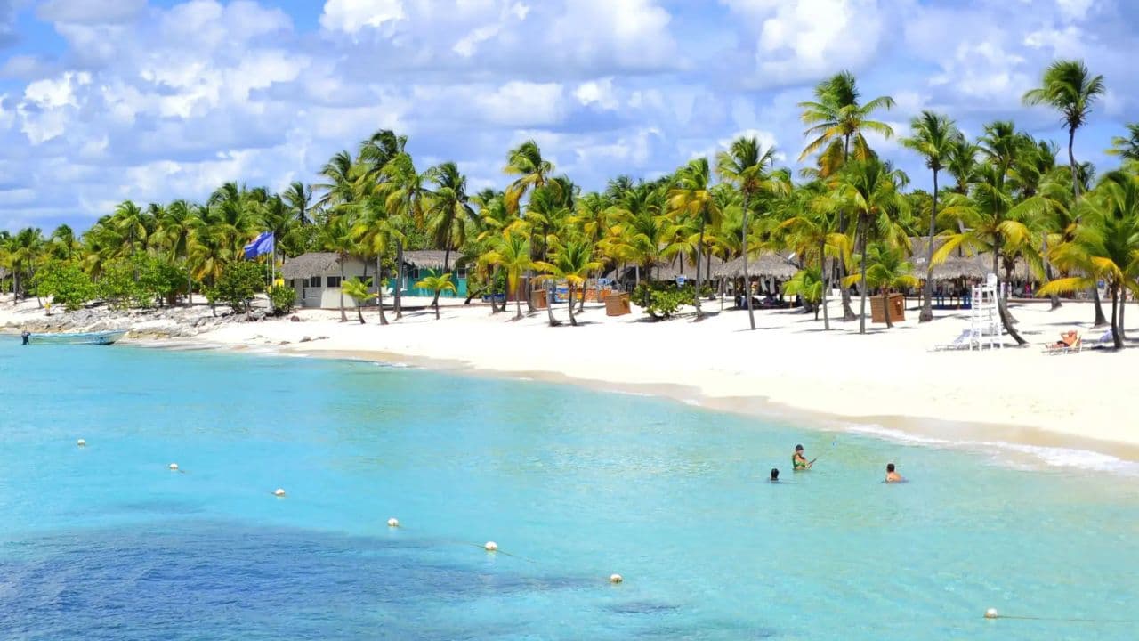 Saona Island Full-Day Tour with Lunch from Punta Cana - Photo 5 (Gallery view)