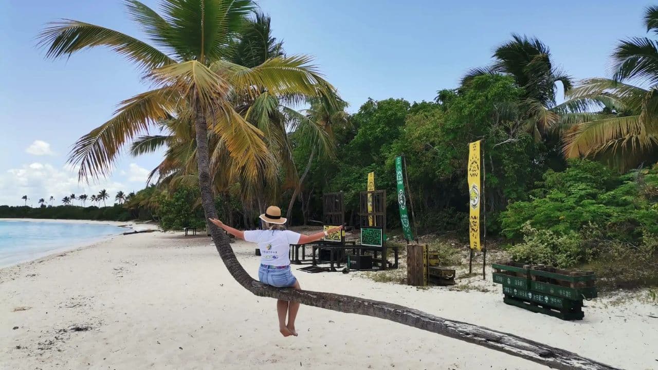 Saona Island: 6 Hour Private Tour with Snorkeling