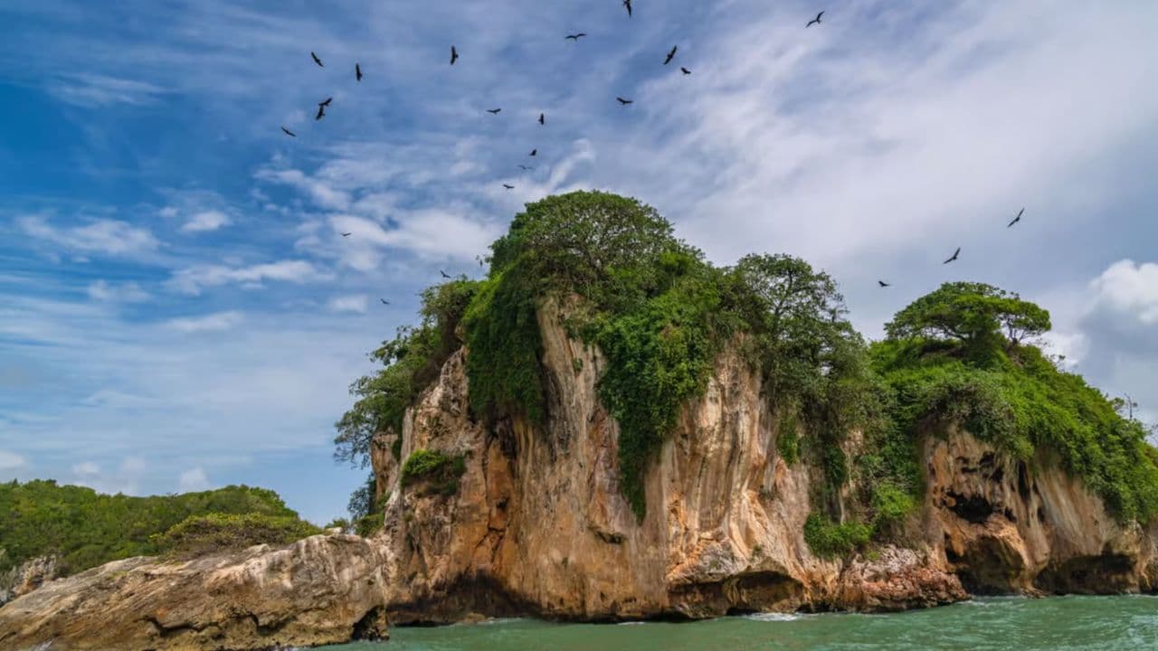 Discover Los Haitises National Park with Delicious Lunch
