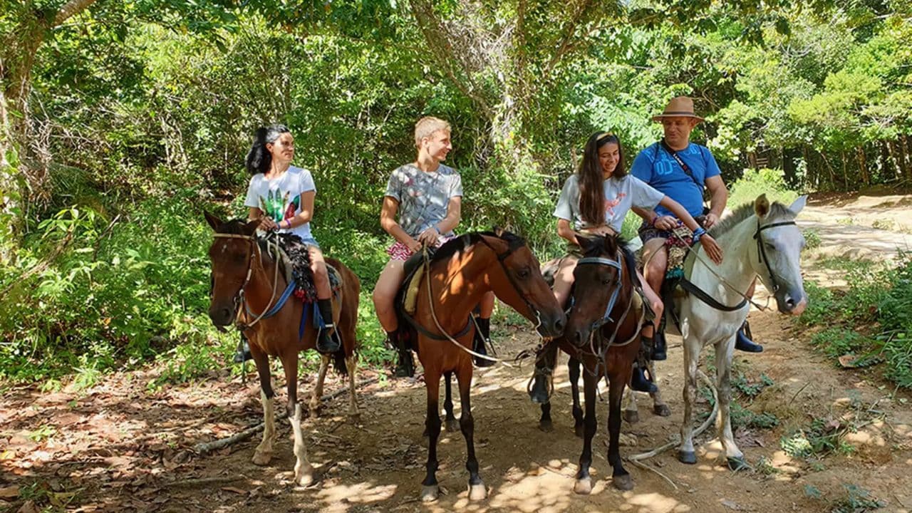 Dominican Republic: El Limón Waterfall Horseback Riding Tour