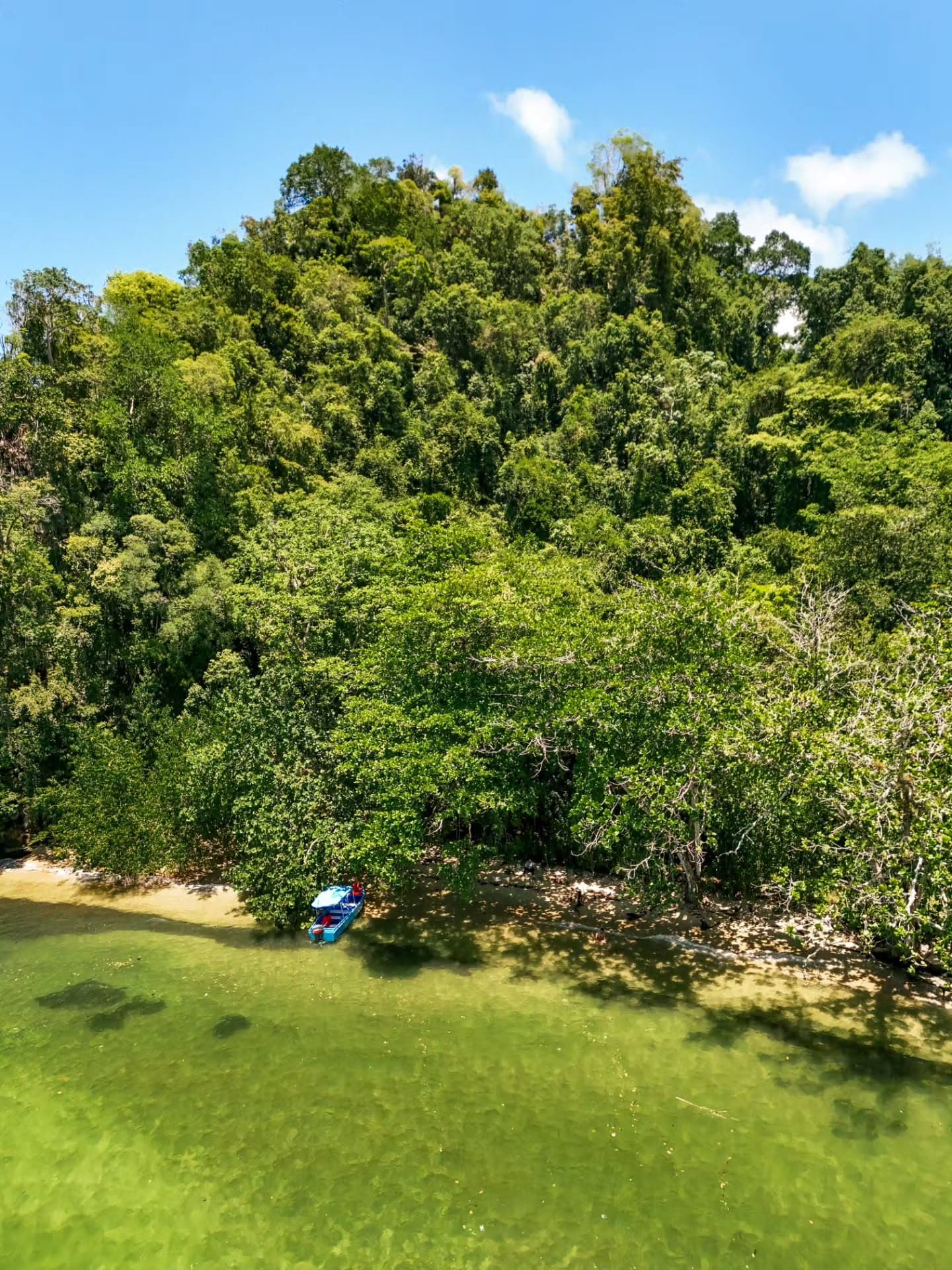 From Punta Cana: Los Haitises and Redonda Mountain Day Trip - Dominican Republic