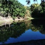 Puerto Plata: Taino Valley and Dominican Flavor Experience