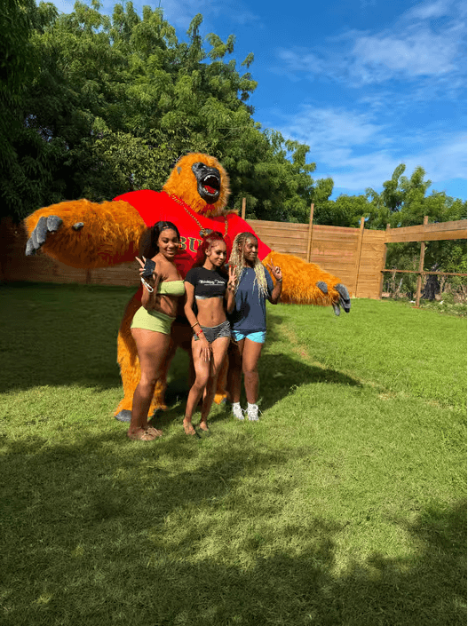 Monkey House VIP – Exklusives Erlebnis in Punta Cana - Photo 2 (Gallery view)