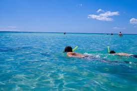 Miches private: snorkeling a mezza luna e tour in montagna - Photo 5 (Gallery view)