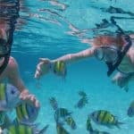 Punta Cana Private Catamaran (Big Group)
