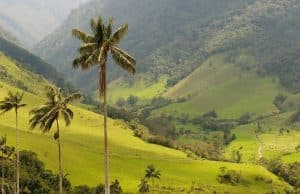 Punta Cana: Anamaya Mountains Walking Tour with Tasting - Photo 4 (Gallery view)
