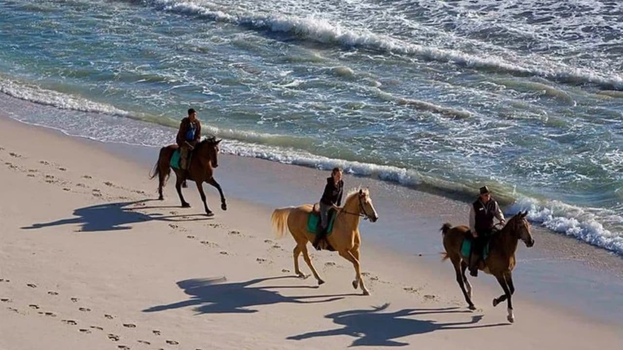 Puerto Plata: Horseback Riding on the Beach