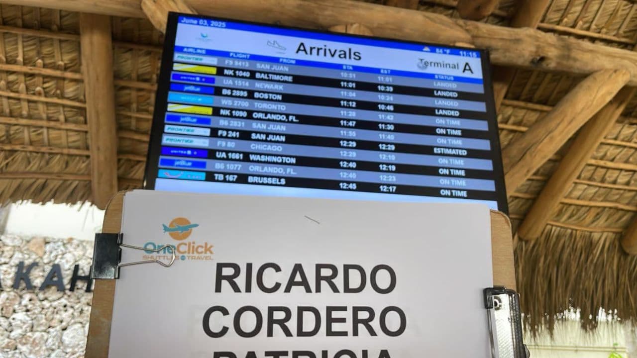 Punta Cana: 1-way Private Transfer