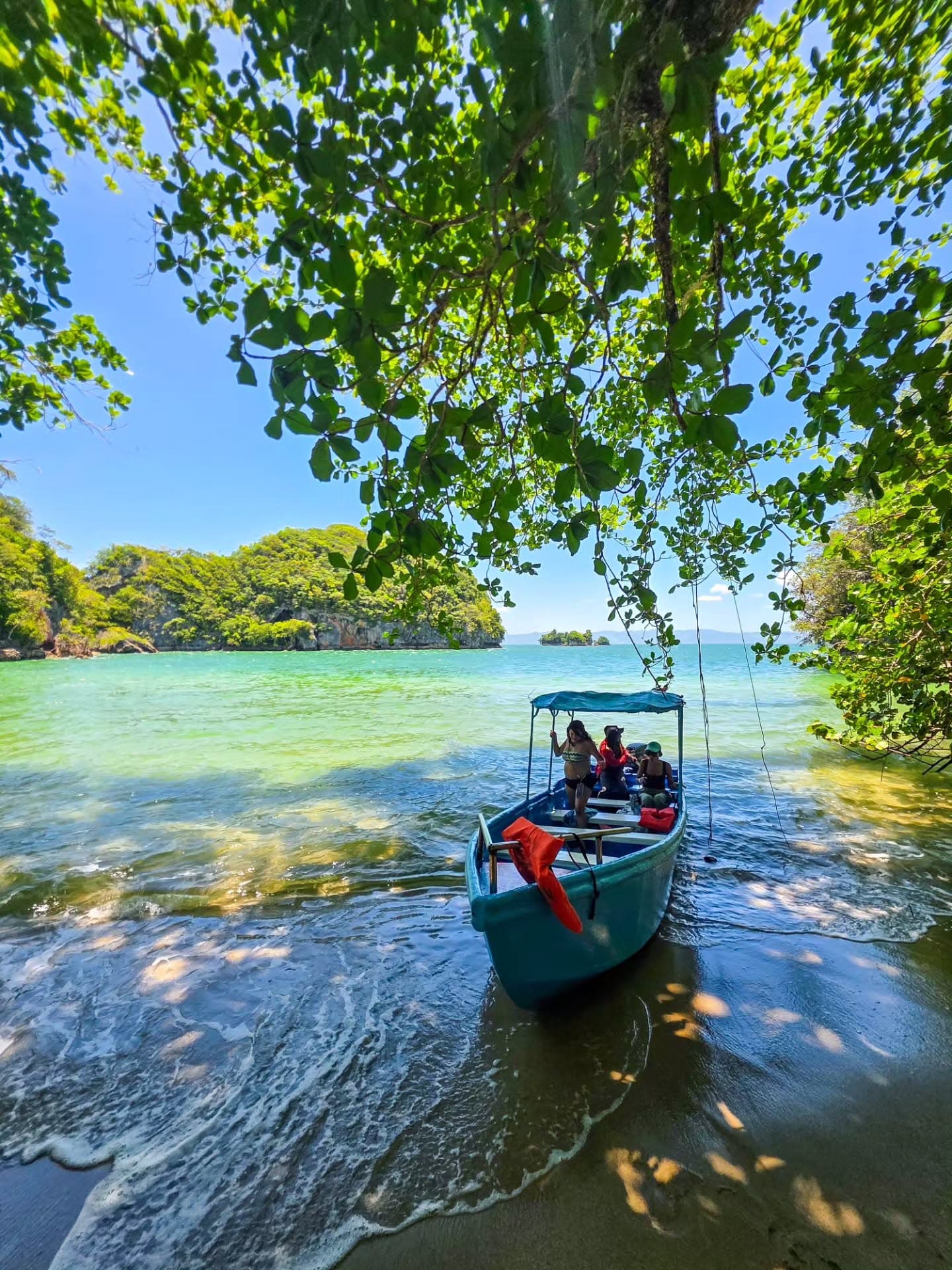 Los Haitises All In One (Kayaking, Hiking, Boating, Caving, Swimming Natural Pool & Lunch) From Las Terrenas - Photo 5 (Gallery view)