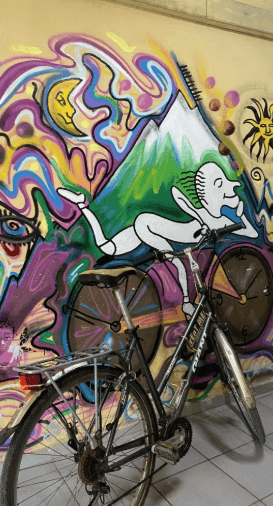 Havana Free Bike Tour