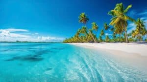 Punta Cana : croisière en catamaran sur l'île Catalina avec plongée en apnée - Photo 3 (Gallery view)