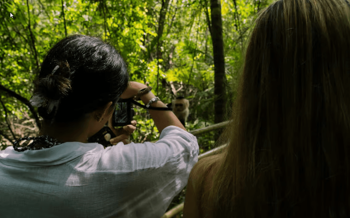 Manuel Antonio Park: Pěší prohlídka s průvodcem s přírodovědcem - Photo 3 (Gallery view)