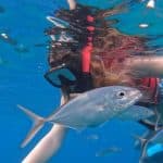 Sosua Sunset party boat And Snorkeling - Photo 1 (Main angle)