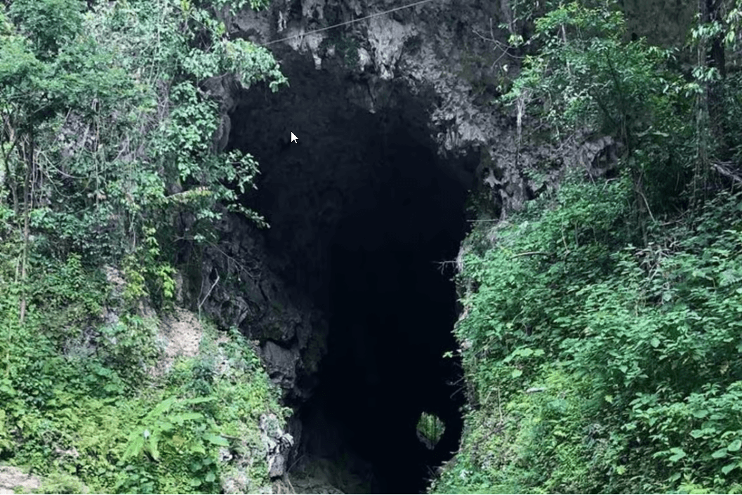 Puerto Rico: Tanama River Tubing & Cave Adventure in Arecibo - Photo 5 (Gallery view)