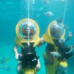 Da Punta Cana: tour in barca con fondo di vetro, immersioni subacquee e snorkeling - Photo 5 (Gallery view)