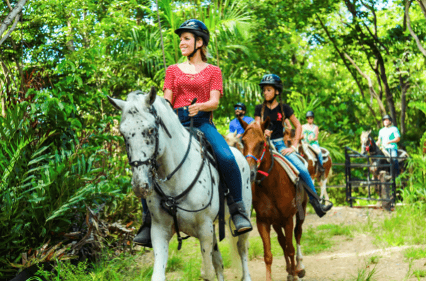 Carabalí Rainforest Park: Rainforest Horseback Riding Tour - Photo 4 (Gallery view)