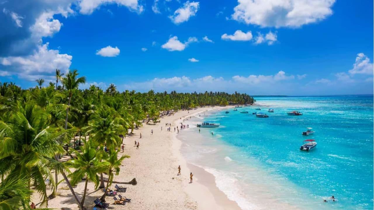 Santo Domingo: Saona Island Catamaran Tour with Lunch & Bar