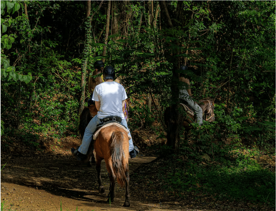 From Carolina: Horse Riding at a Private Ranch - Photo 3 (Gallery view)