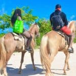 Punta Cana: Half-Day ATV or Buggy and Horseback Riding - Photo 4 (Gallery view)